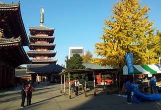 朝の浅草寺