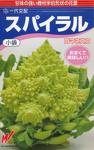 ロマネスコ ロマネスコ