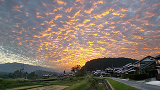 夕日に染まるうろこ雲