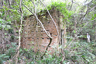 伊崎山に登る