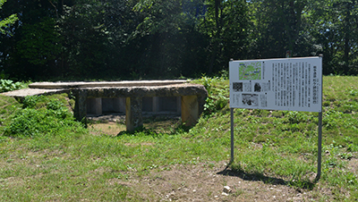 杉ヶ峠砲台跡