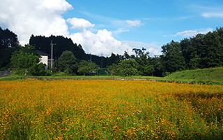 梅雨の中休み