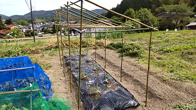 雨よけ屋根