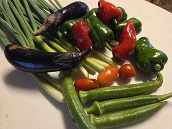 夏野菜の終焉