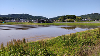 のどかな田園風景