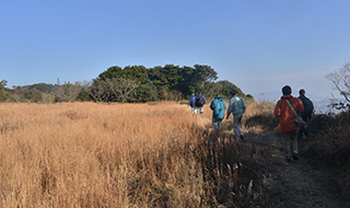 石峰山を歩く