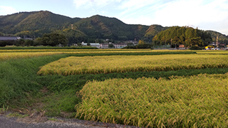 背景の山は