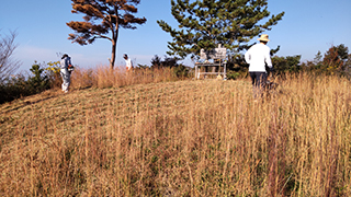 緑山登山道整備