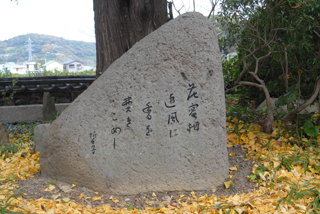 花蜜柑追風に香を焚きこめし